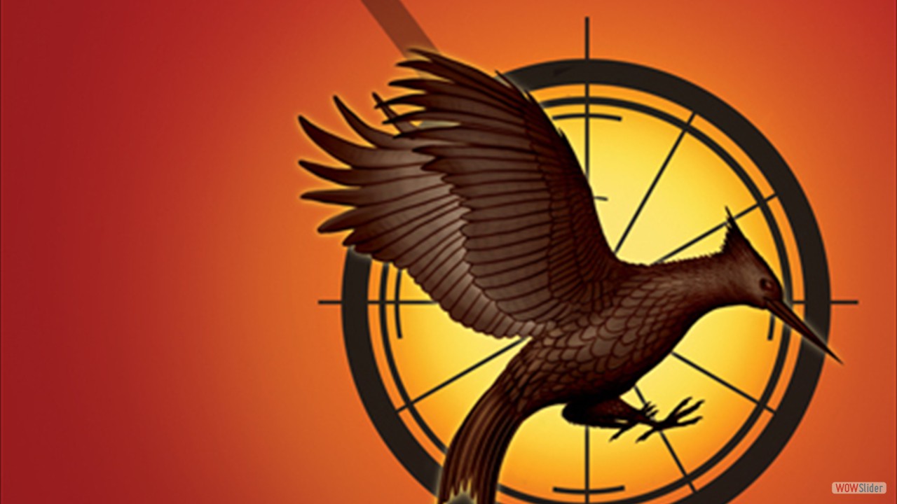 Catching Fire Catching Fire