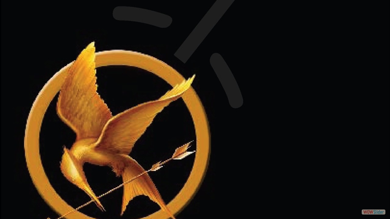 The HungerGames The HungerGames