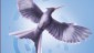 Mockingjay